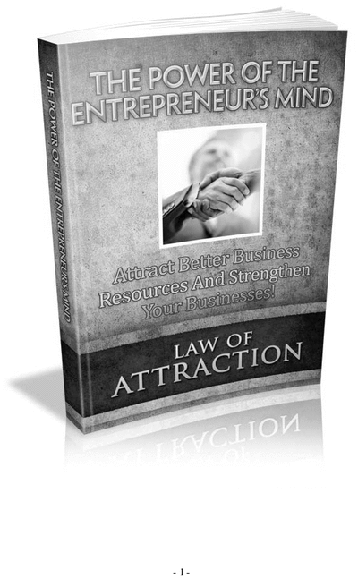 Product picture Ebook on Entrepreneurship